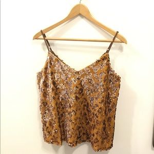 Anthropologie Sequin and Velvet Top